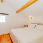New Amazing Cozy House In The Heart Lisbon