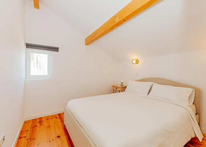 New Amazing Cozy House In The Heart Lisboa